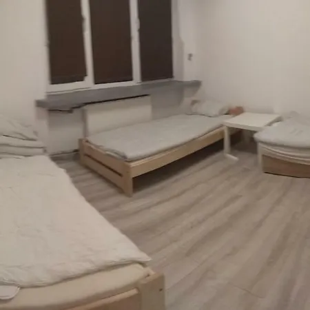 Flori Homestay *